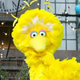 Big Bird at the 76th Annual Macy's Thanksgiving Day Parade in Herald Square, New York, in November 2002.